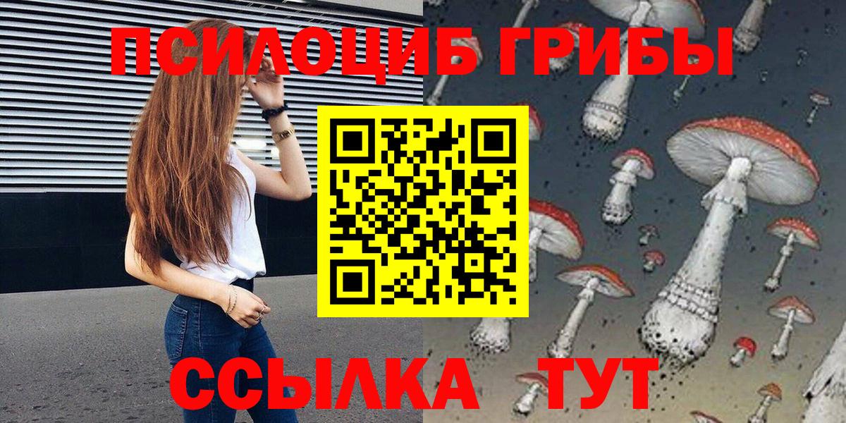 Псилоцибиновые грибы Psilocybe  Псилоцибиновые грибы мицелий  хочу наркоту  Карабулак 