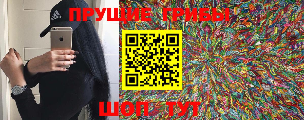 Карабулак  Псилоцибиновые грибы GOLDEN TEACHER  Вход с VPN 