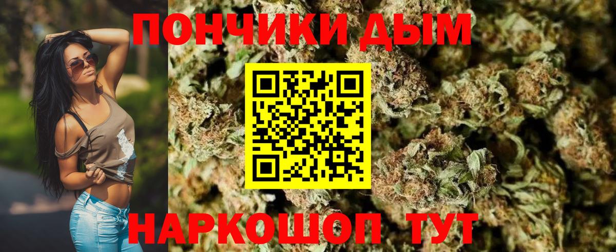 Бошки марихуана гибрид  Шишки марихуана сатива  Карабулак  Вход с VPN 